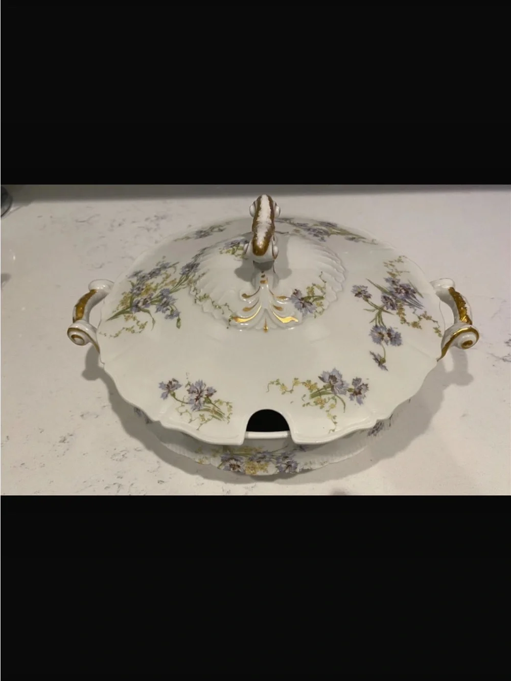 Theodore Haviland Limoges porcelain covered soup tureen / vegetable dish